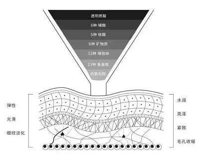 <a href='/fz/' target='_blank'><u>福州美萊</u></a>國際微整節(jié)