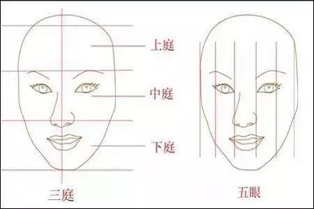 影響翹鼻較重要的地方。