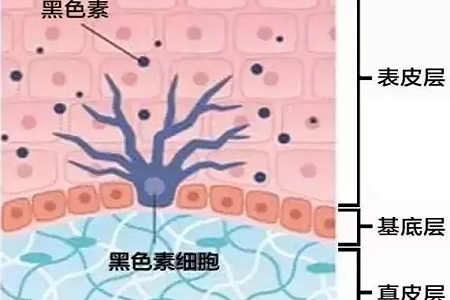 祛斑偏方“害死人”，小仙女們可長(zhǎng)點(diǎn)心吧！