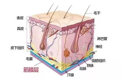 沒有誰能永遠年輕，不老都是保養(yǎng)的早！