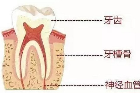 做牙齒矯正 ，真的要趁早！