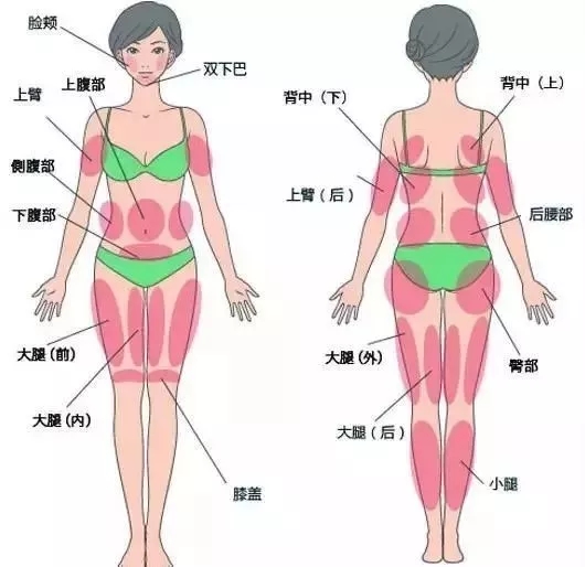 讓明星“一夜回春”的自體脂肪到底適不適合你？