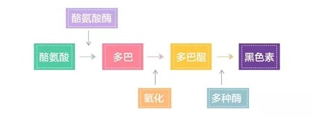 美萊實(shí)驗(yàn)室：據(jù)統(tǒng)計(jì)90%的長(zhǎng)斑都與夏天這一東西有關(guān)，你臉上的斑點(diǎn)是嗎？